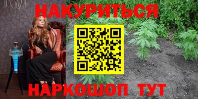 шишки Донской