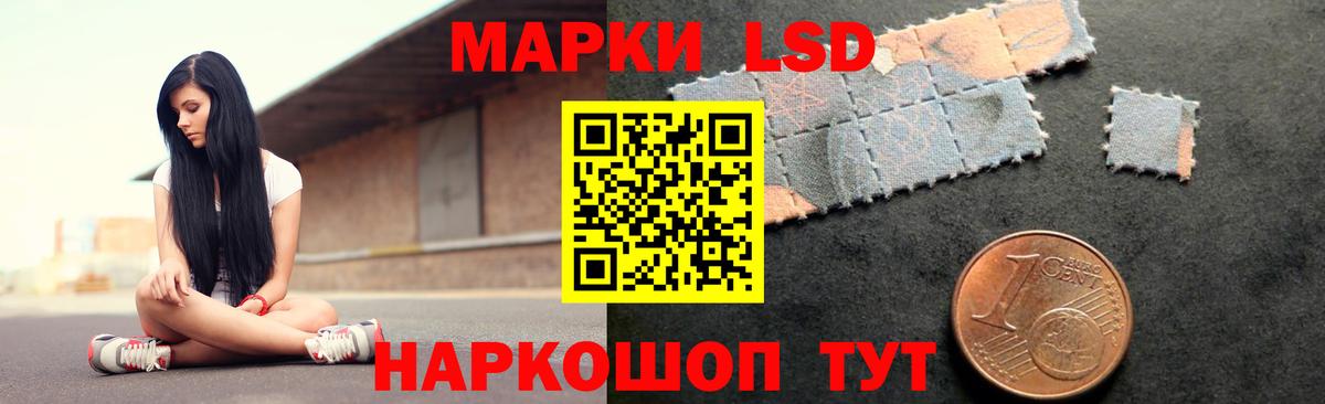 Бошки Шишки Лыткарино