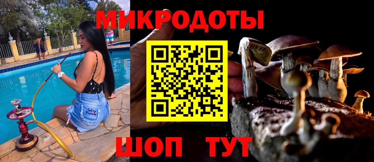 Галлюциногенные грибы GOLDEN TEACHER Лыткарино